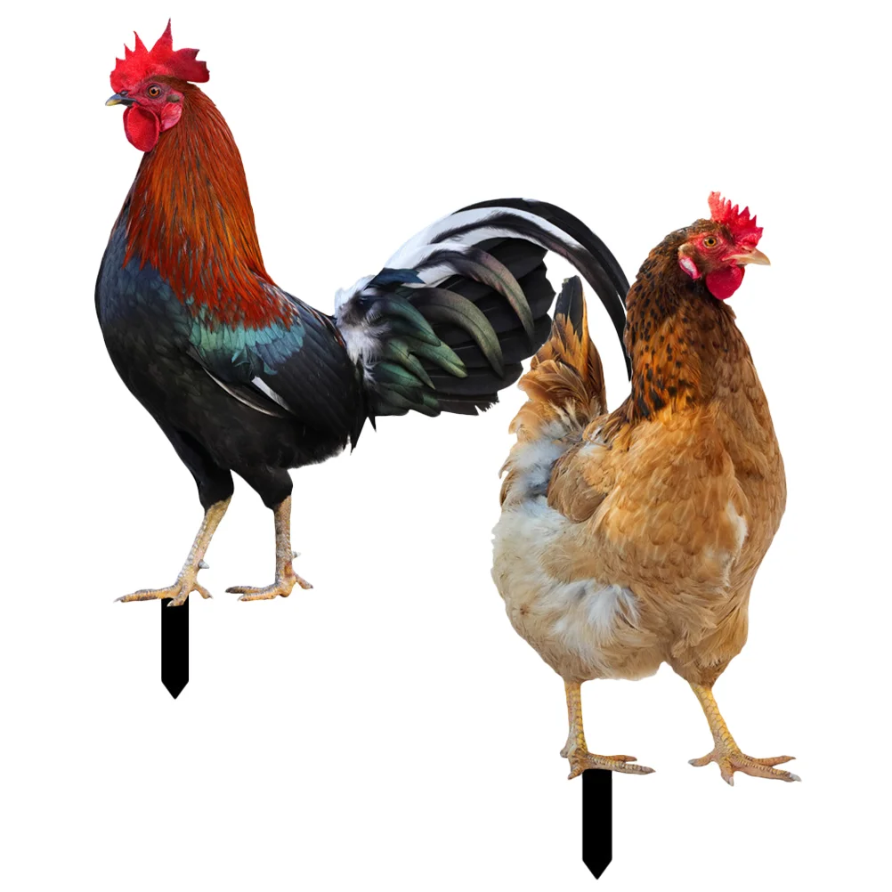 

Decorative Garden Inserts Hen Shaped Stake Sign Lawn Ornament Yards Acrylic Outdoor Sculpture