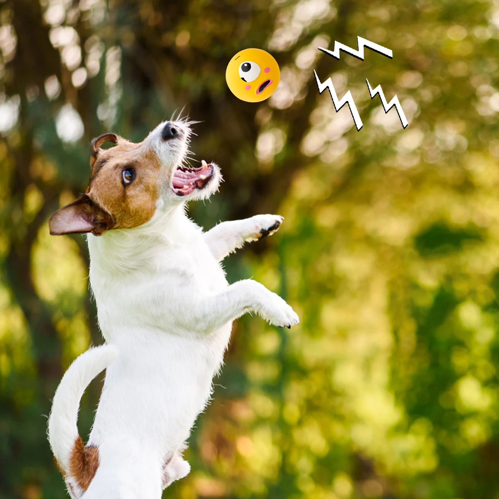 

1pc Squeaky Chew Ball Falt For Dogs Teeth Cleaning Silicone Accessory Bite Resistant For Pets Pet
