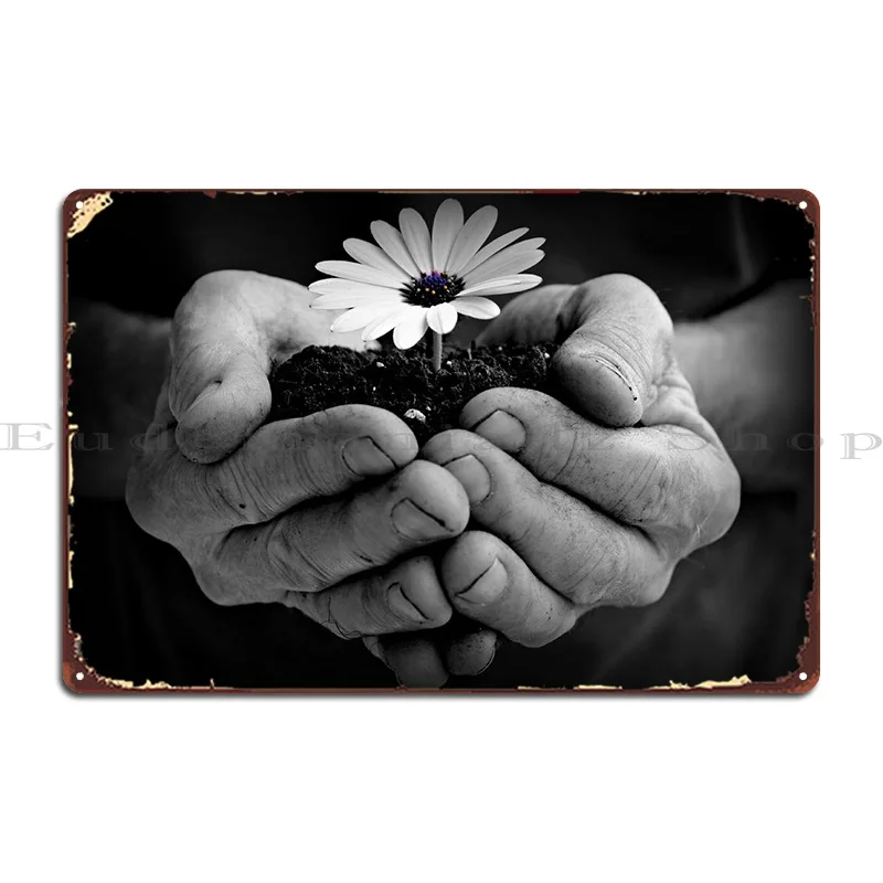 Красавица в руке, один цветок остеопермума, Блестящий металлический плакат, печать, украшение для гаража, создание кинотеатра