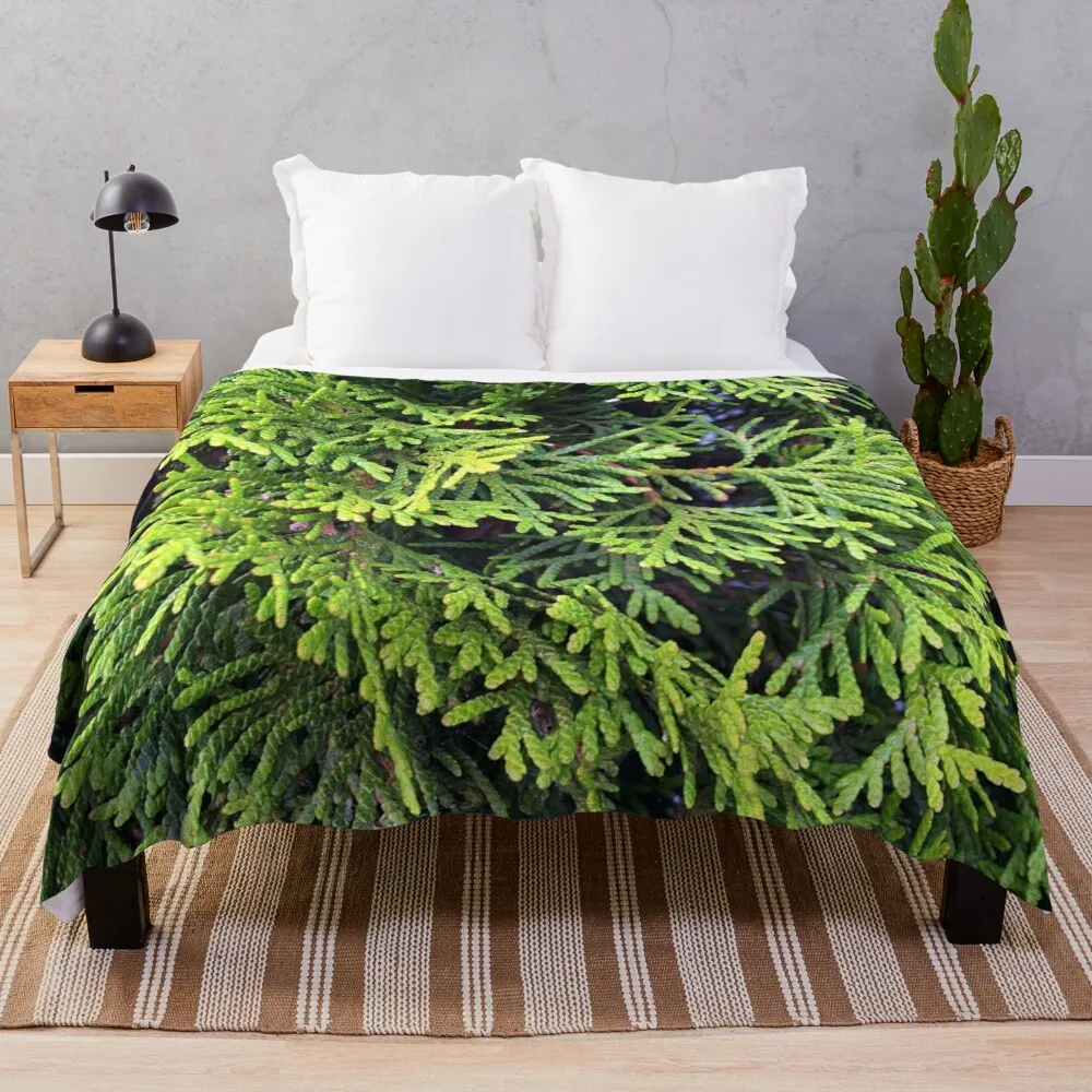 

Флисовое короткое эстетическое одеяло, милое одеяло, вязаное одеяло, кедровое одеяло