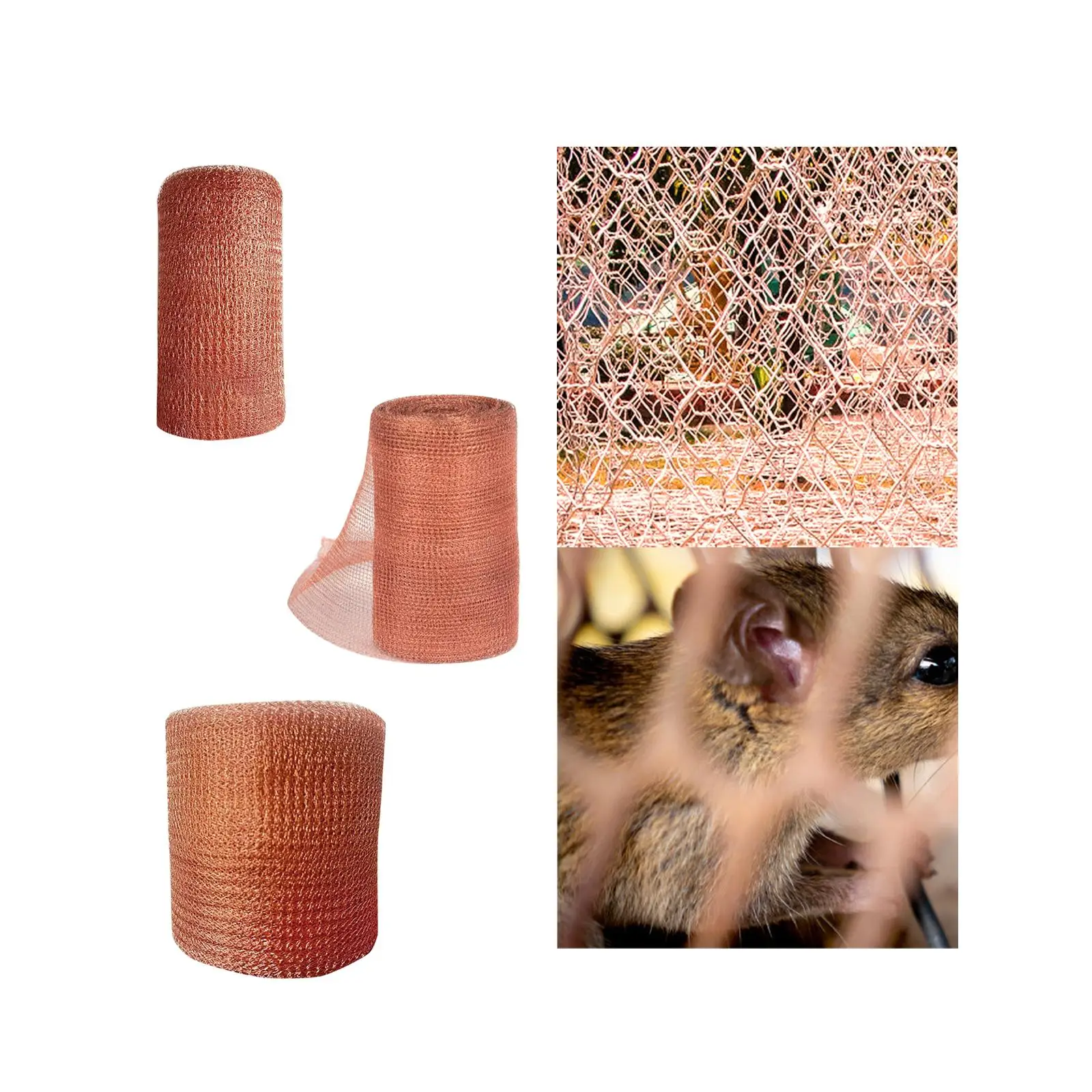 Простая в использовании медная проволочная сетка рулон медной сетки для