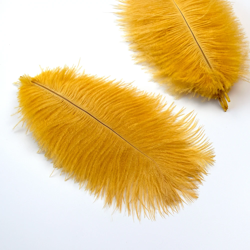 

20pcs Natural Ostrich Feather Wedding Party Scene Decorations Stage Show Decoration Home Decor Feather Arts and Crafts Supplies