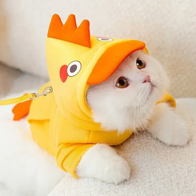 Рисунок 5 - Новинка Осень-зима 2023