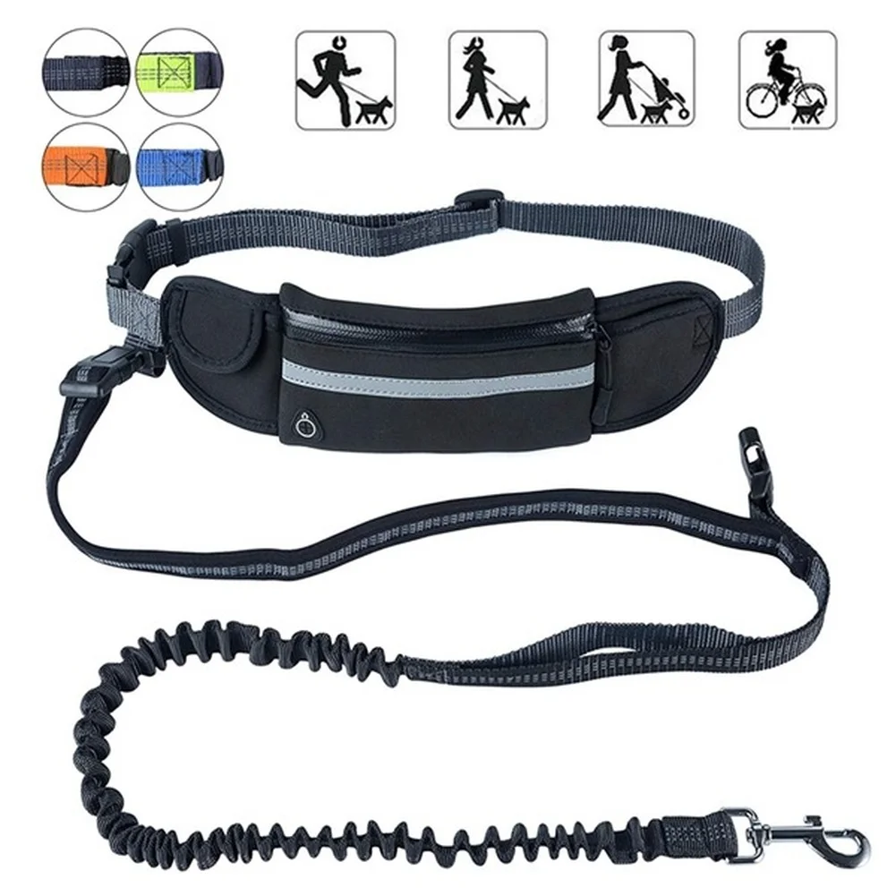 

Retractable Pet Dog Cat Running Belt Reflective Elastic Band Walking Training Dog Leash Collar Set