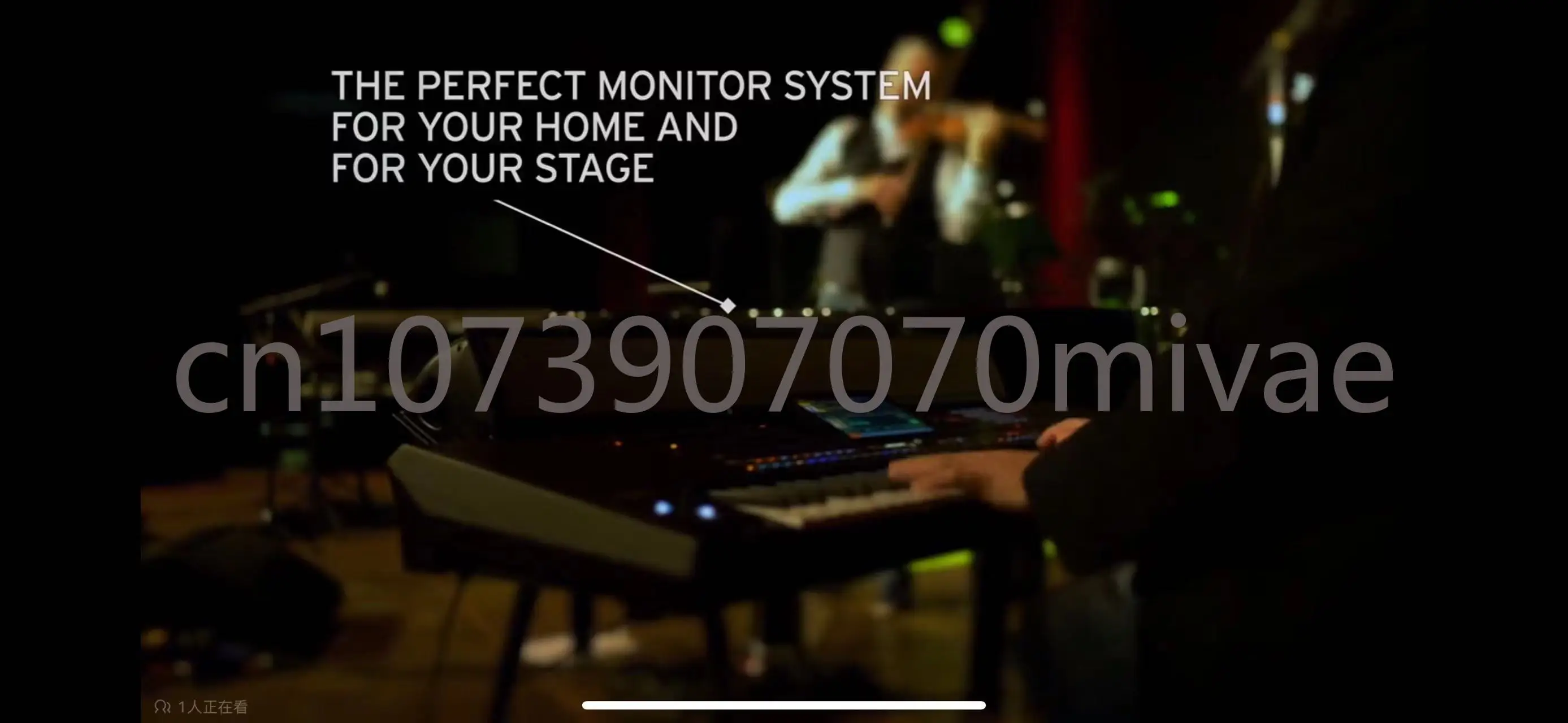 Динамик KORG PaAS MK2 (Совместимость с Pa5X Pa4X Pa3X)