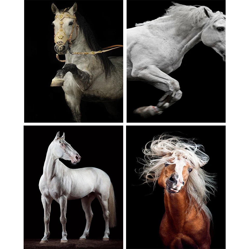 

5D поделки алмазов картина животных горный хрусталь фотографии полный квадратный/круглый алмаз вышивка мозаика подарок вышивка крестиком д...