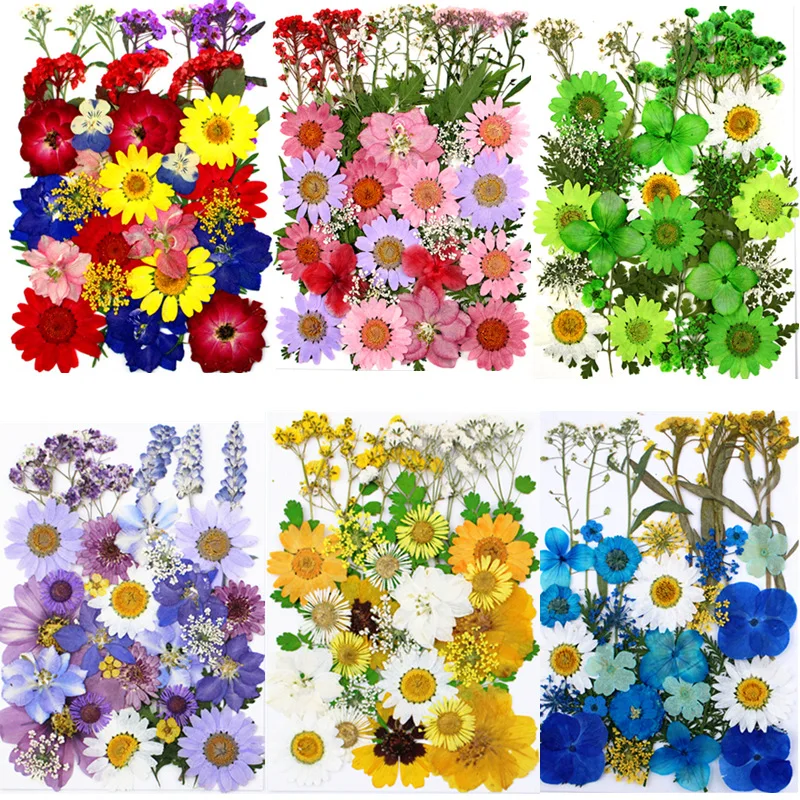 1Bag Dried Flowers Pressed Flowers Stickers for DIY Phone Case Epoxy Resin Filling Pendant Jewelry Making Crafts Nail Art Decor