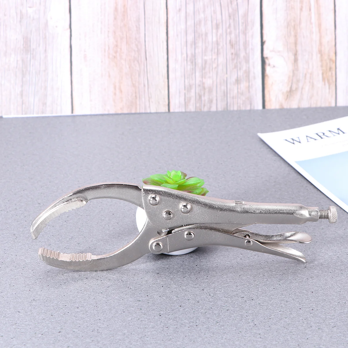 

Clamp Type Adjustable Disassemble Car Removal Tool Repair Tools Oil Grid Remover