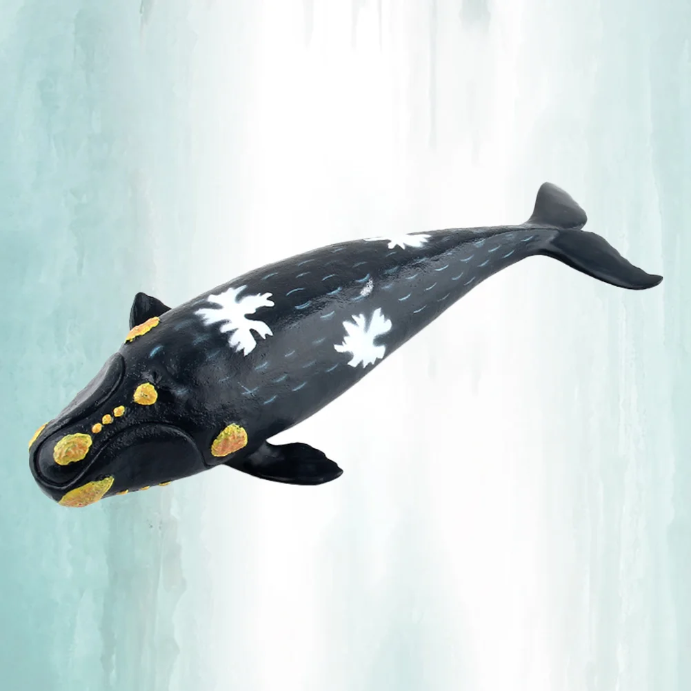

Right Whale Model Marine Life Model Cotton-Filling Fake Right Whale Toy Funny Educational Model Plaything for Kid