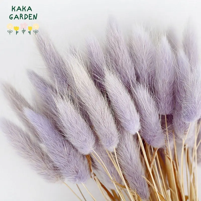 

Rabbit Bunny Tail Grass Dried Flowers Bouquet Home Decor Natural Reed Wedding Garden Decoration Real Plant Handicrafts Material