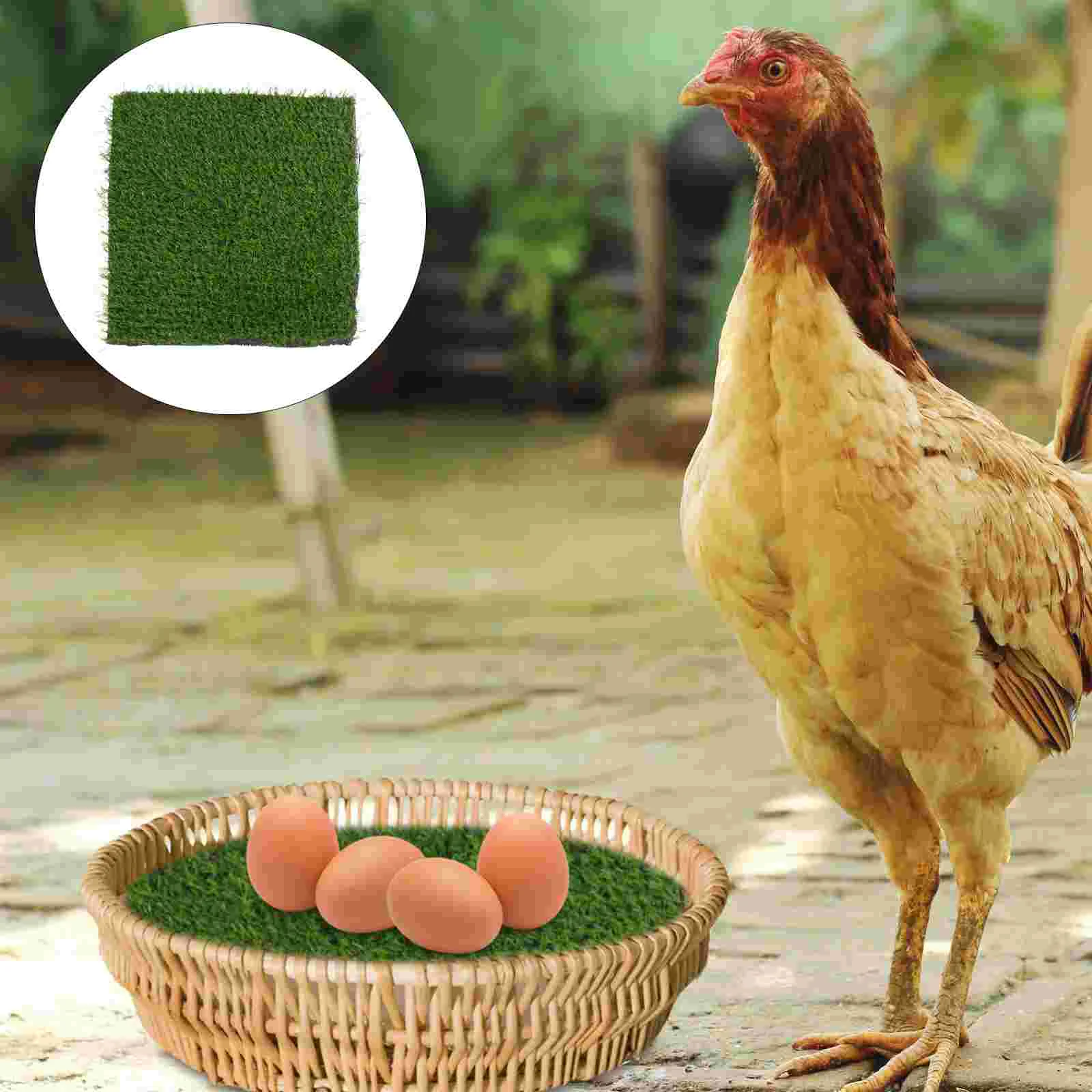

Chicken Nesting Pads Box Mats Grasscoopbedding Fake Cushions Washable Mat Turf Artificial Laying Boxes Poultry Pad Egg Cage