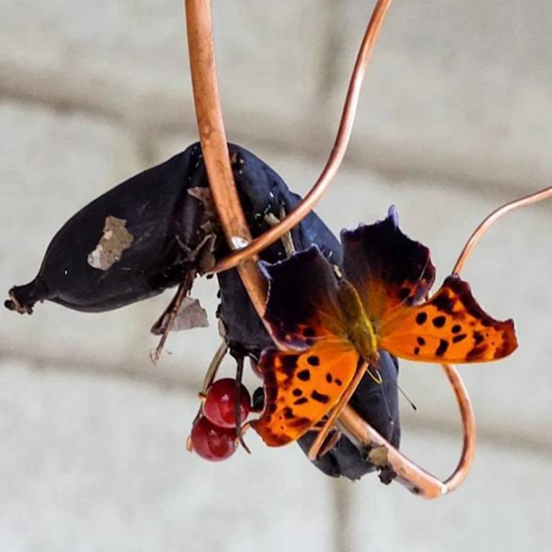 Гамак-банан-бабочка уличная подвесная кормушка-бабочка для среды обитания