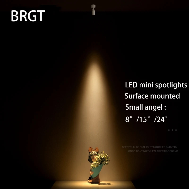 Светодиодный фонарь Регулируемый потолочный светильник 8 ° 15 24