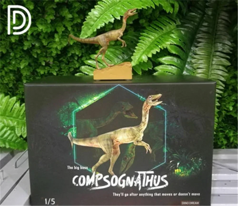 Фото DINO DREAM 1:5 Женский Compsognathus Coelophysidae Коллекция моделей динозавров Животное Взрослый подарок Украшение сцены №4
