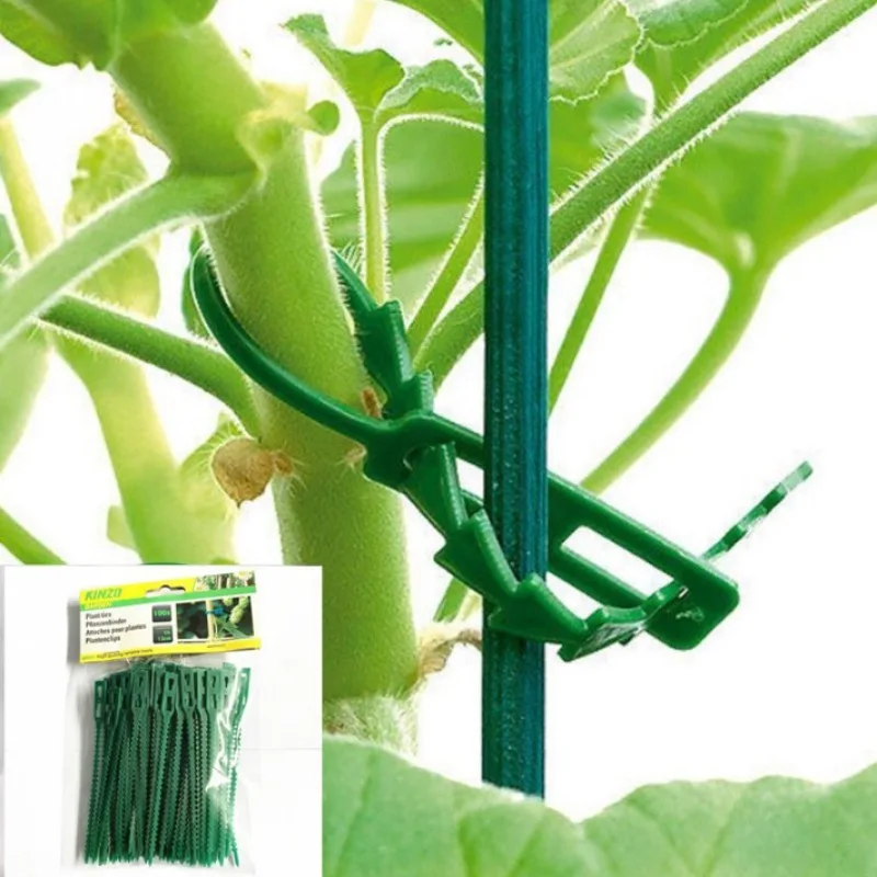 

Reusable Garden Cable Ties for Plant Vine, Tree, and Shrub Support - Locking Nylon Adjustable Fastener and Organizer Tool