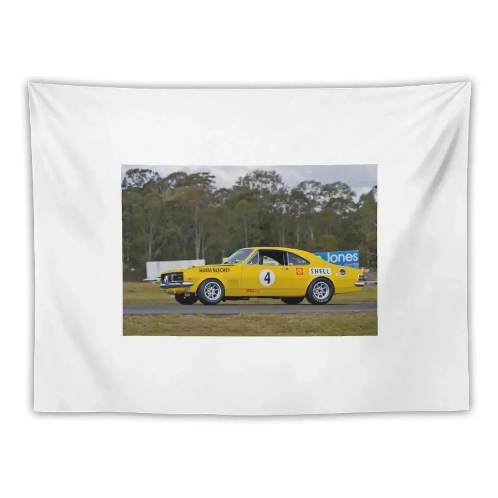 Норм Beechey Monaro Гобелен Декор для спальни Эстетические украшения комнаты на заказ