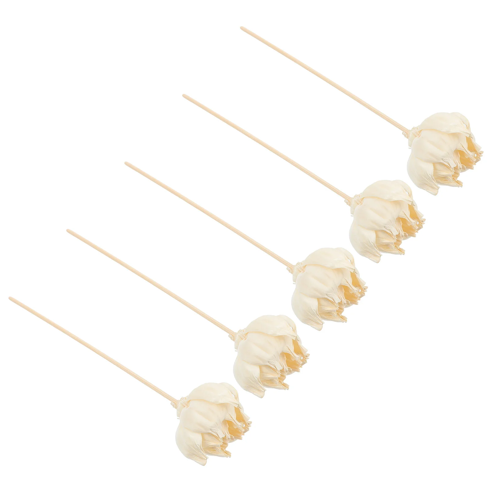 

5pcs Decorative Artificial Peony Flower Aromatherapy Household Diffusers (Beige)