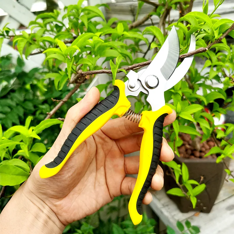 

Pruner Garden Scissors Professional Sharp Tree Trimmers Secateurs Hand Clippers Multi-functional Garden Beak Scissors Tree Tools