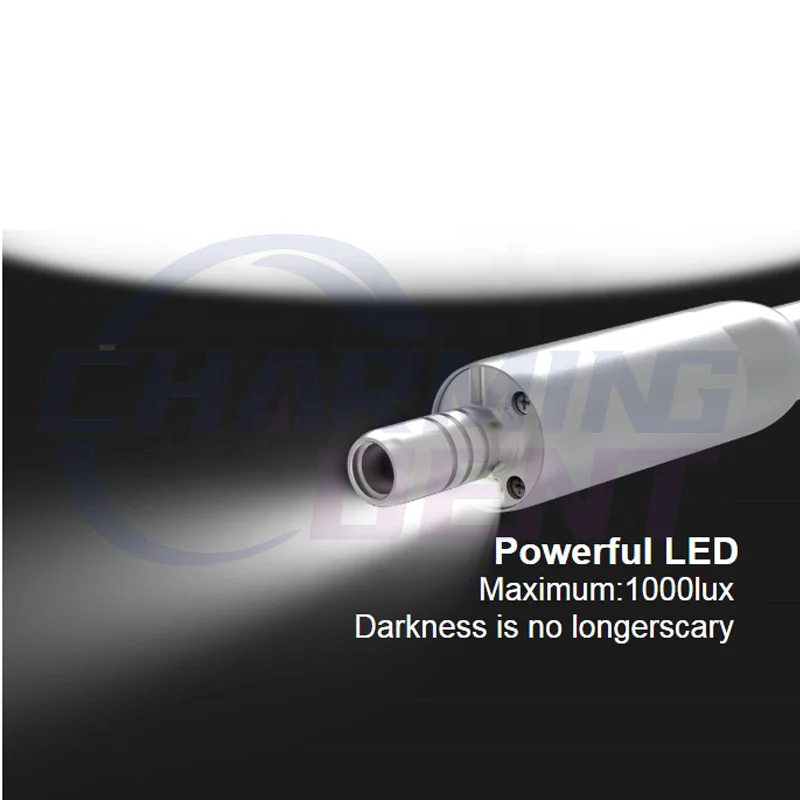 Den tal equipment COXOs C-pure светодиодный бесщеточный электродвигатель внутренний