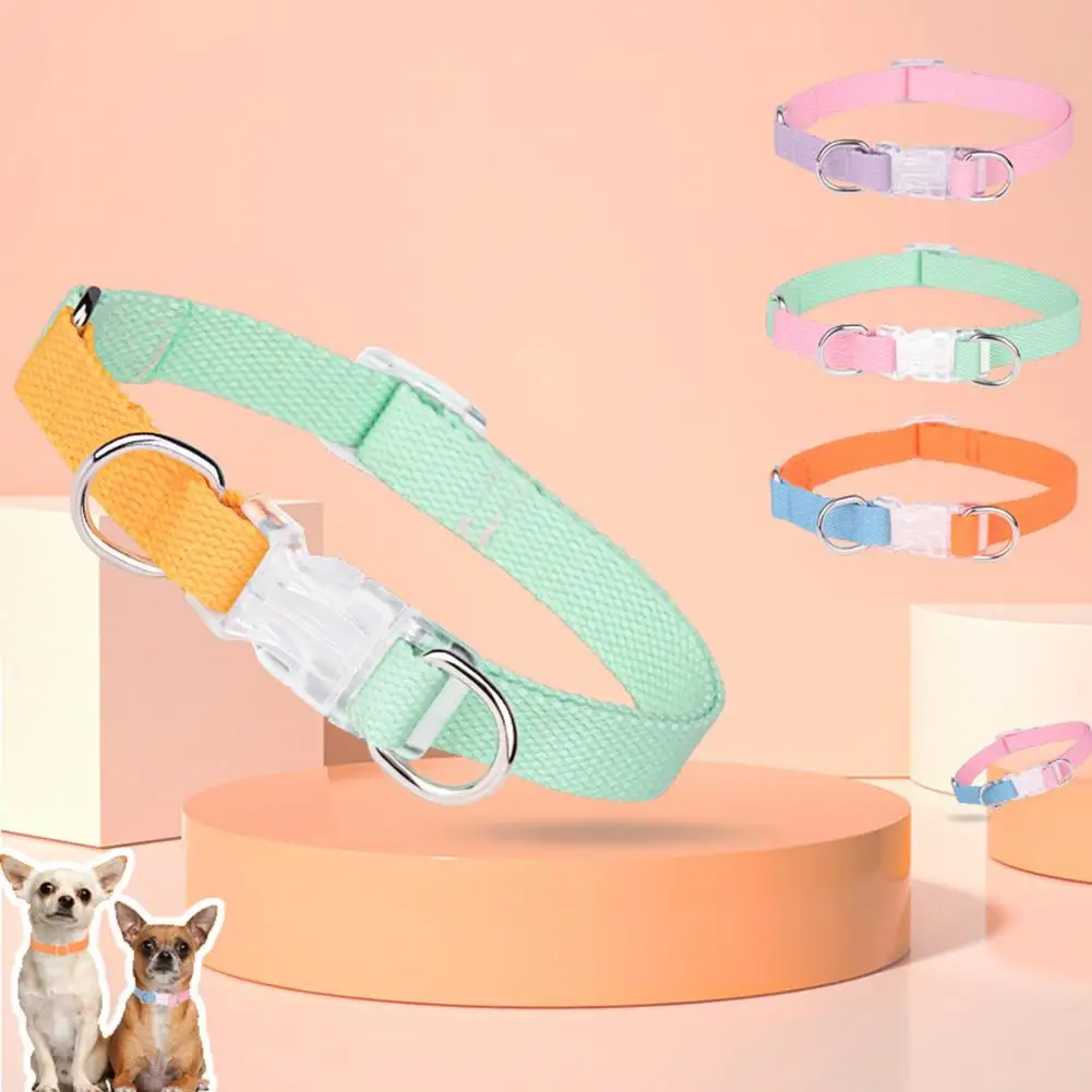 

Pet Supplies Dog Collar Alloy Buckle Dog Chain Cat Necklace Size Adjustable for Small and Medium-sized Dog Collars Dog Supplies