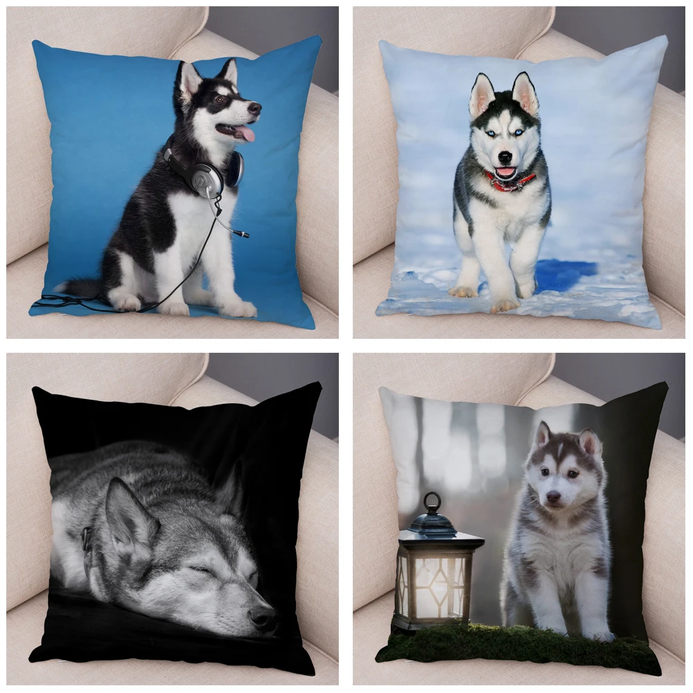 

Home Decor Cute Siberian Husky Pillowcase Dog Print Polyester Pillowcase Pet Sofa Cushion Cover funda de almohada