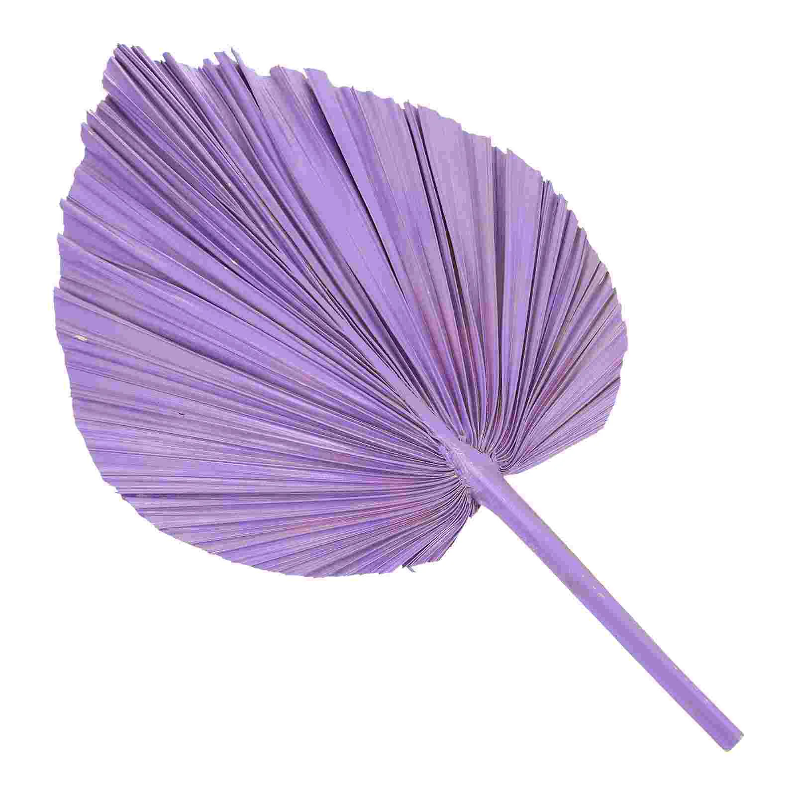 

Пальмовые сушеные листья, Веерообразный цветок, Тропическое искусственное украшение, Декор, цветы ручной работы, натуральные сухие вечерни...