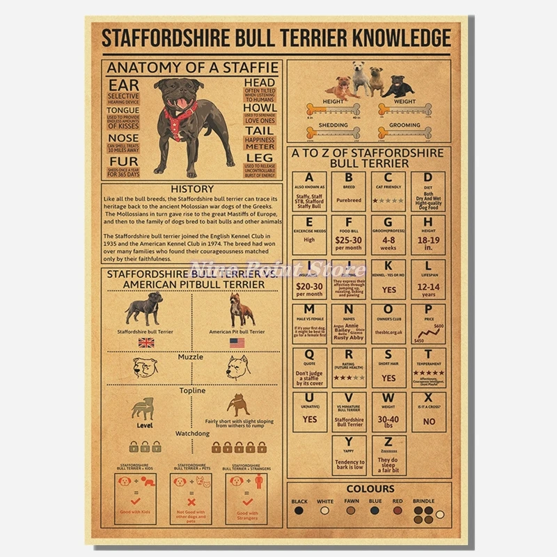 

Настенная картина "Винтажный летающий стандартный бильярд, футбольная гитара"