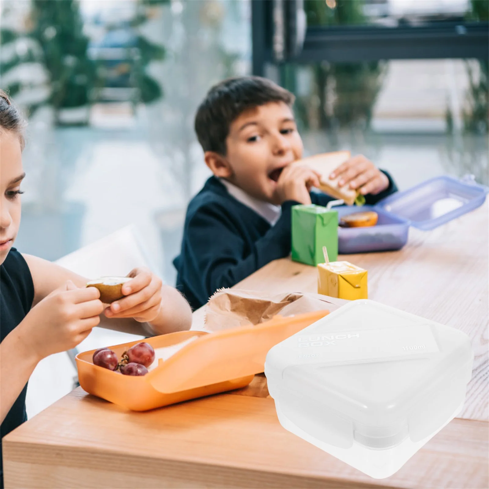 

Food Container Lunch Holder Prep Cute Containers Adult Leakproof Lids Bento Case Plastic