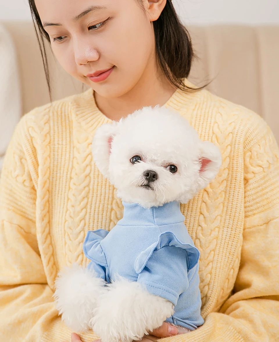 

ABQP Solid Color Pet Bottoming Shirts Autumn and Winter Dog Clothes Thin Teddy Pullovers Puppy Homewear Pet Products Dog Apparel