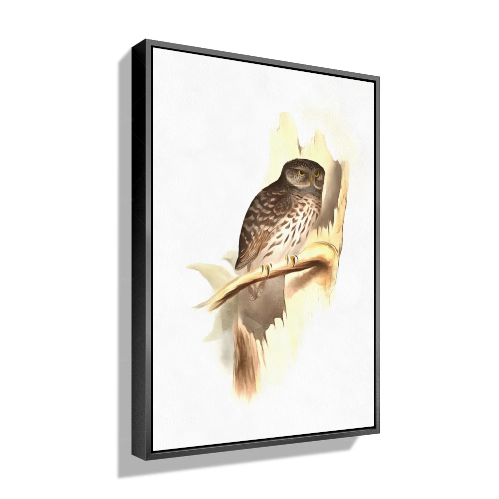 

Картины на холсте с рамкой Forbeauty, картины экзотической птицы, авифауны, домашний декор, водонепроницаемые картины маслом