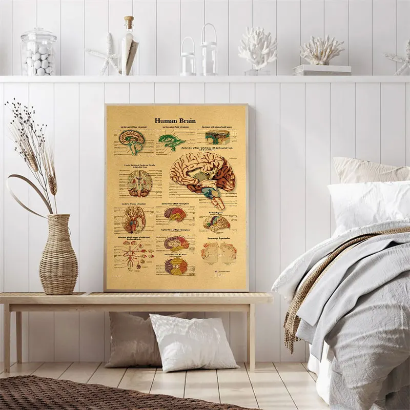 

Vintage Anatomy Physiology Poster Human Body Structure Diagram Prints Retro Organ Canvas Painting Medical Decor Wall Art Picture