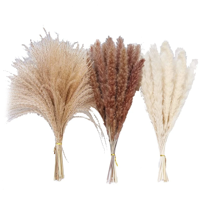 

Сушеная пампасная трава, натуральная сушеная пампасная трава, пушистые пампасы для домашнего декора в стиле бохо, пушистая рукоятка в стиле...