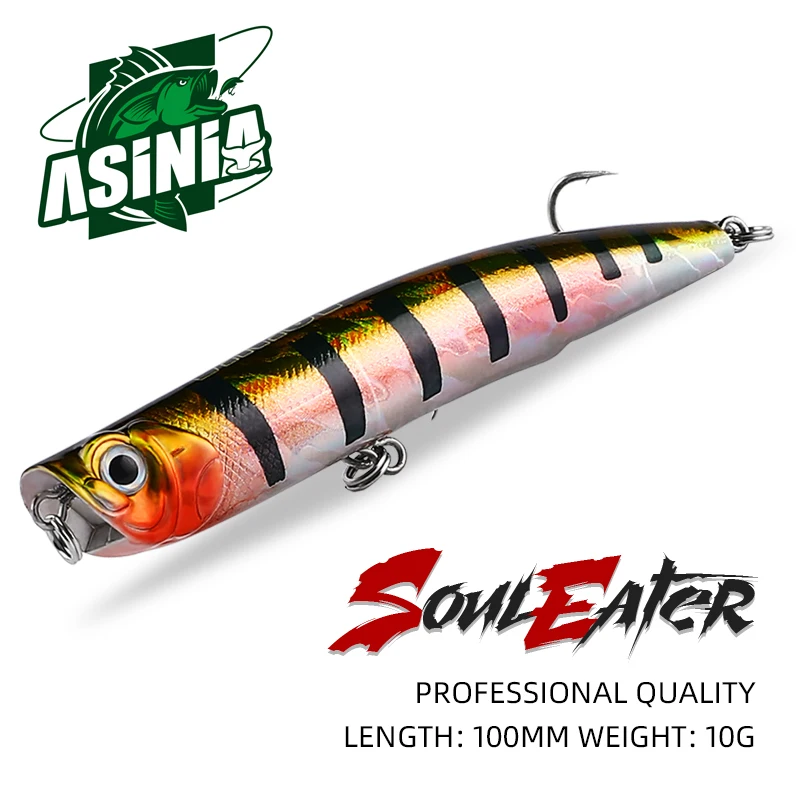 ASINIA Новое поступление 100 мм 10 г горячая модель топвотер приманки жесткая приманка