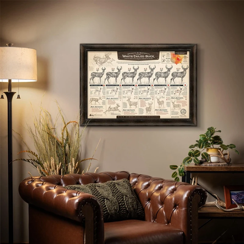 Принты бумаги рост и зрелость белого хвоста