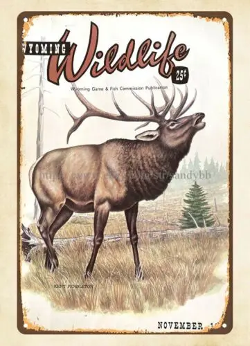 Домашний декор художественное оформление 1965 год обложка журнала Wyoming для дикой