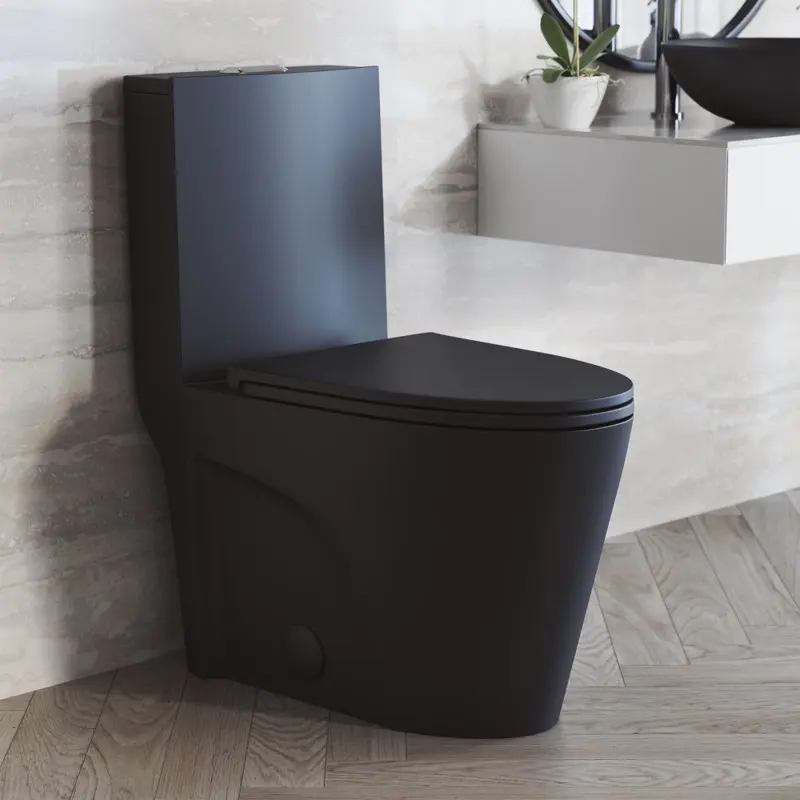 

Tropez One-Piece Elongated Ceramic Toilet Vortex Dual-Flush in Matte Black 1.1/1.6 Gpf