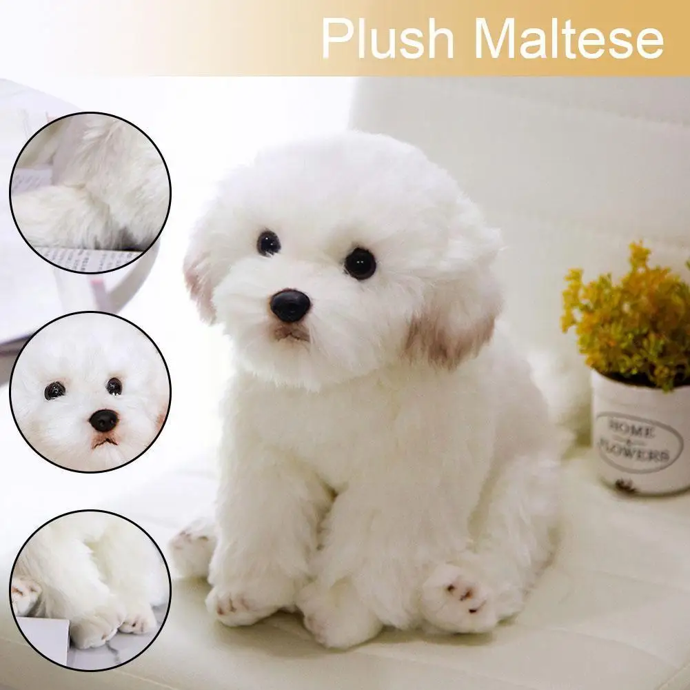 

Мягкая Мальтийская собака, плюшевая игрушка, милая имитация домашних животных, пушистые детские куклы, подарки на день рождения для детей, б...