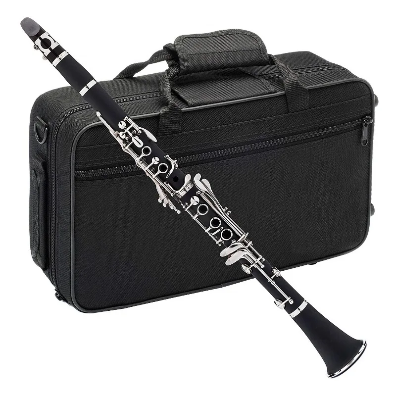 

2023 Hot Sale Clarinet HCL-102 Professional Factory Made Level Woodwind Instrument