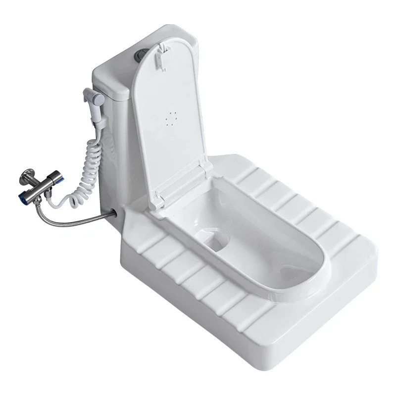 Приземистый туалет двойного назначения без копания поселения накладной стиль