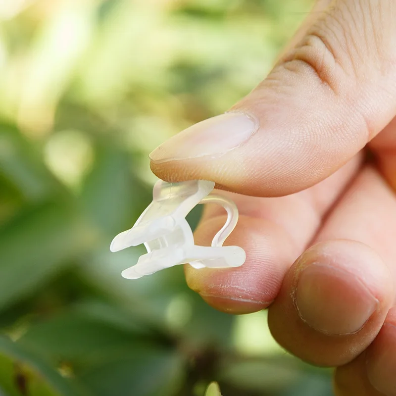 

Pe Rubber Plastic Material Vegetable Fruit Flower Seedling Plant Grafting Clip Household Gardening Supplies Can Be Reused