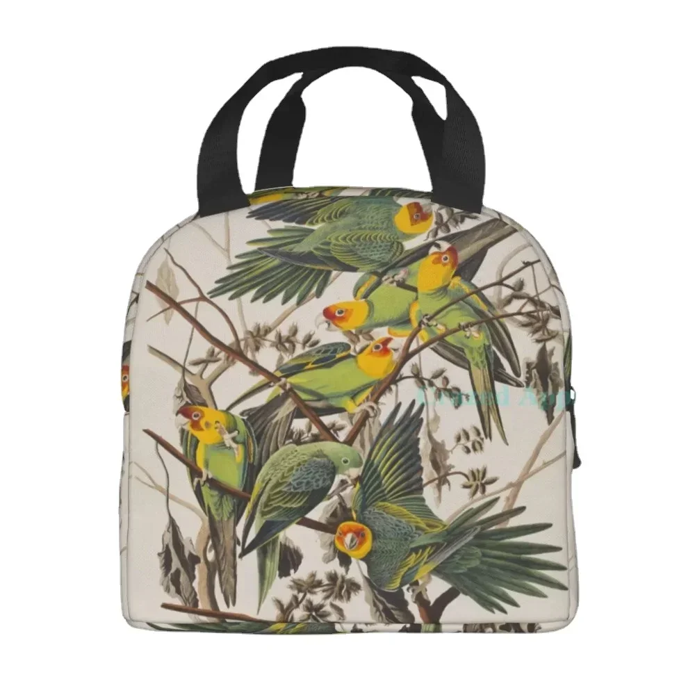 Большая портативная сумка для обеда из ткани Оксфорд с мультяшным принтом совы и