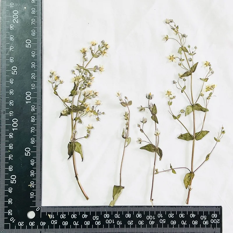 

60 шт., фотообои для макияжа