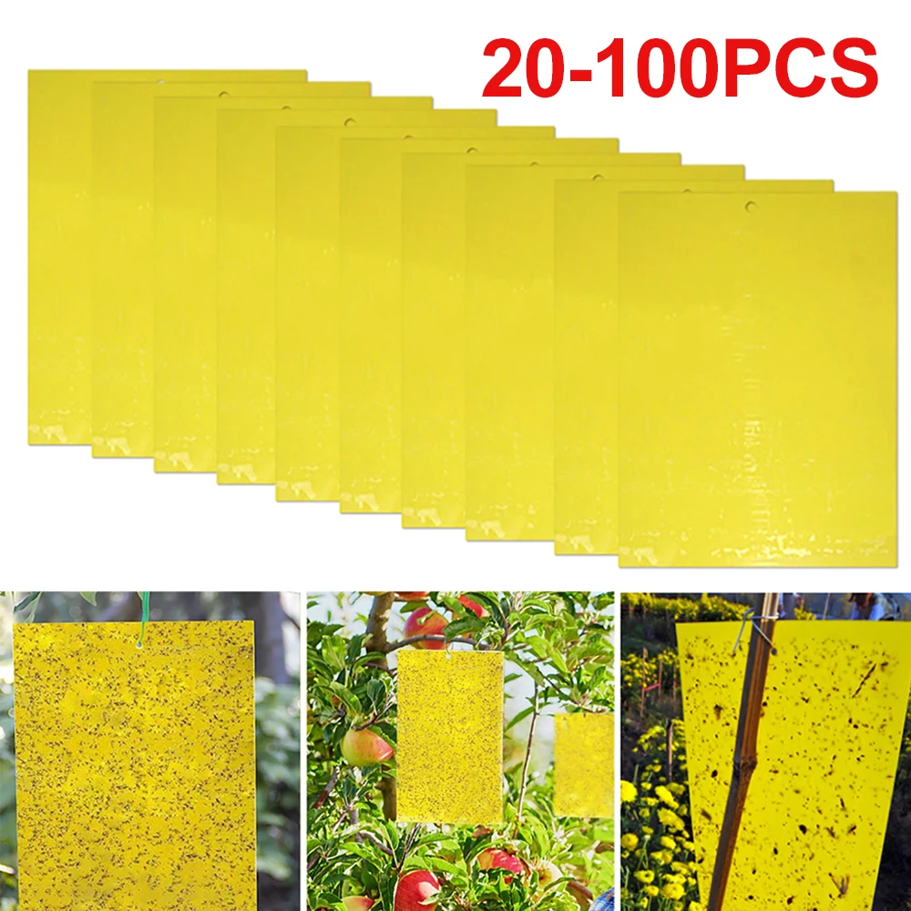 Клейкая доска для борьбы с насекомыми 20-100 шт.