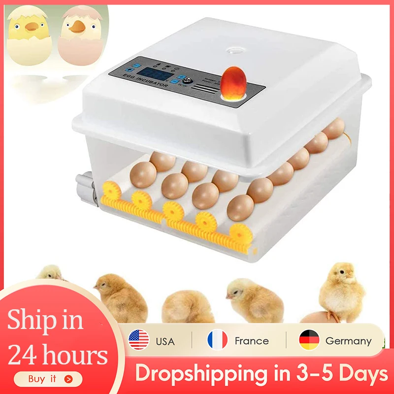 

110V-220V Incubator Eggs Brooder Chicken Fully Automatic Farm Bird Quail Incubator Hatchery 16 Eggs Incubator US/EU Plug