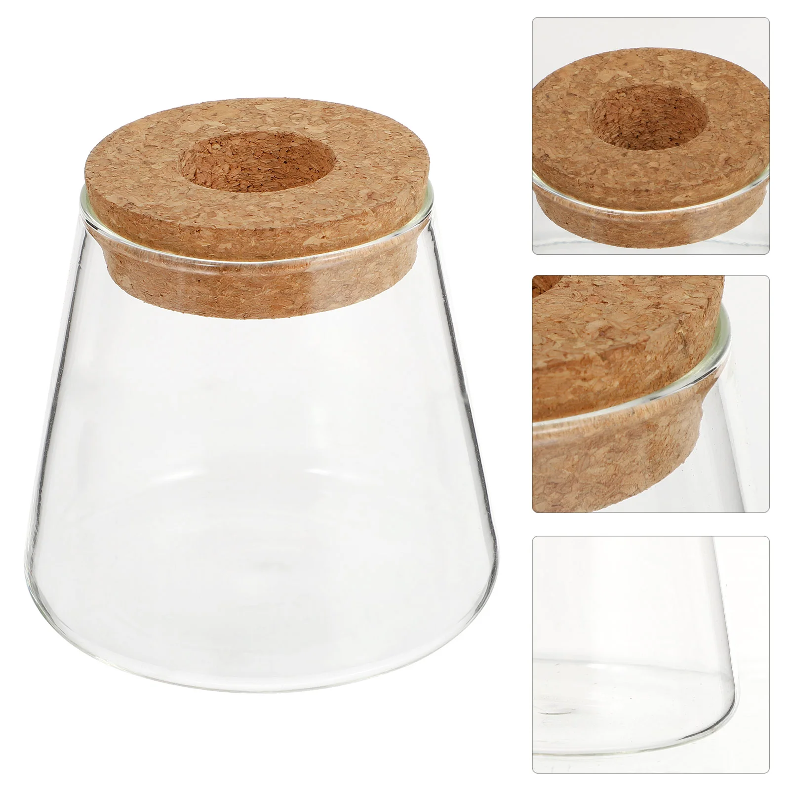 

Glassvase Planter Terrarium Flower Hydroponic Propagation Hydroponics Potair Desktoptube Holder Vases Stationlid Test Container