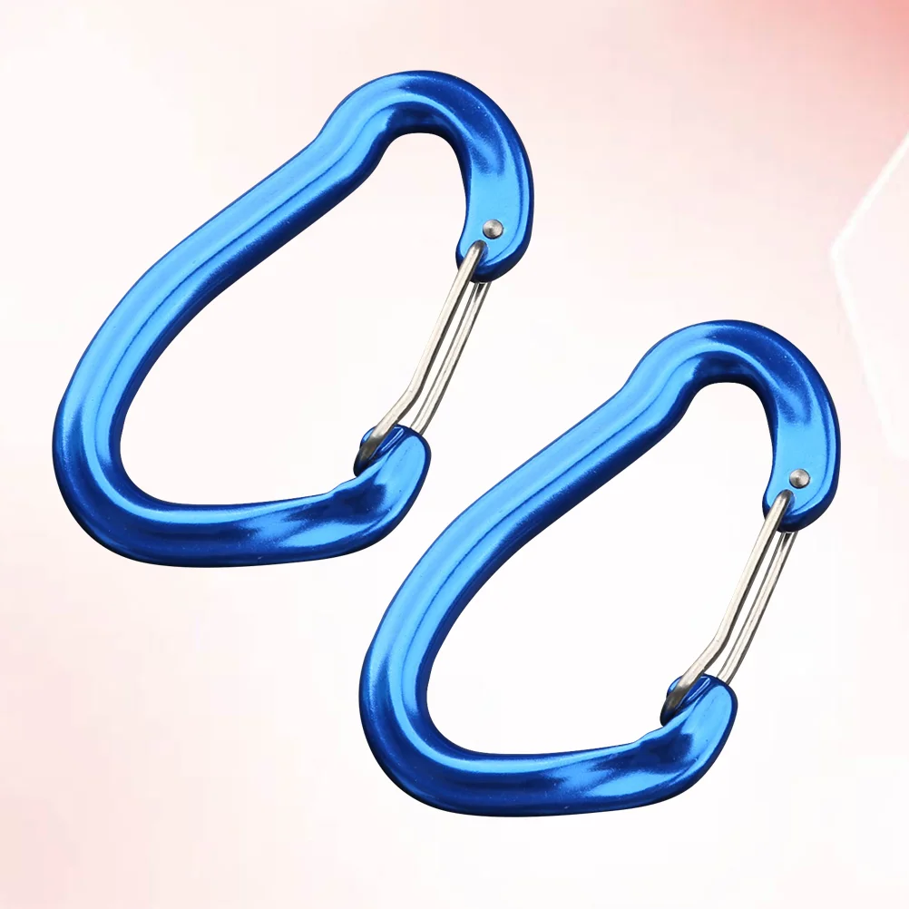 

2 Pcs Carabiner Clip Sturdy Prime Hammock Carabiner Carabiner Clip for Hiking