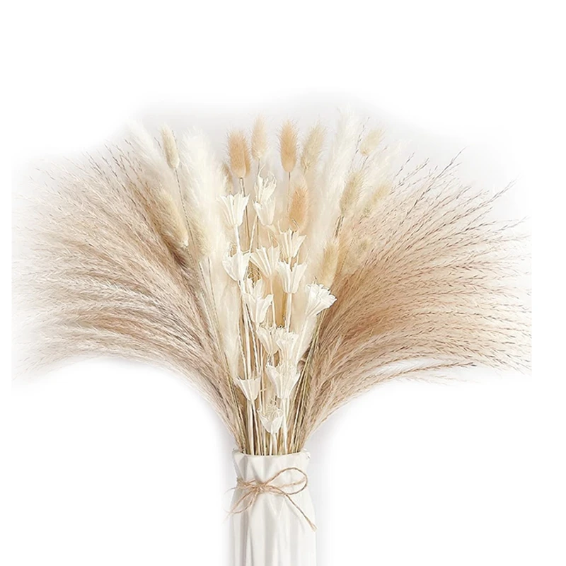 

Natural Dried Pampas Grass, Fluffy White Pampas Grass Plants, Dry Cream Reed Bunny Tail Grass Bouquet For Flower Vase