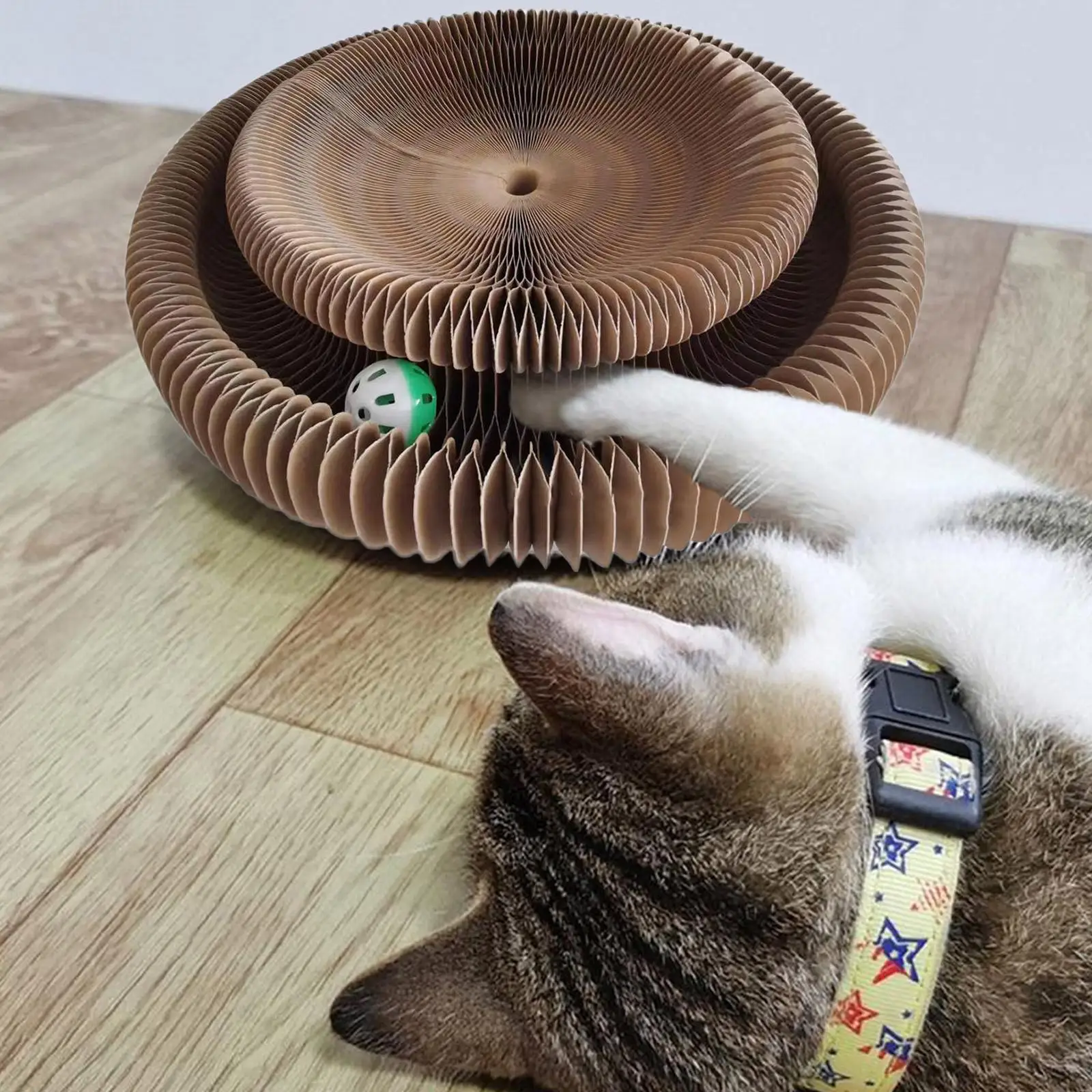 

Новинка 2022, игрушка для кошек с царапинами, волшебный орган, кошачья царапина, игрушка для кошек с колокольчиком, кошачья шлифовальная Когте...