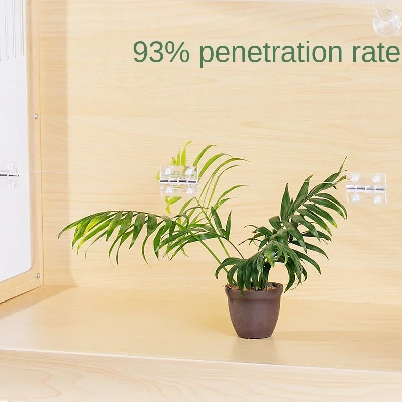 Эша адтизируется на грифе крикет Culla в ножной грибке Xoopar porta d'ingresso Villa оверсайз