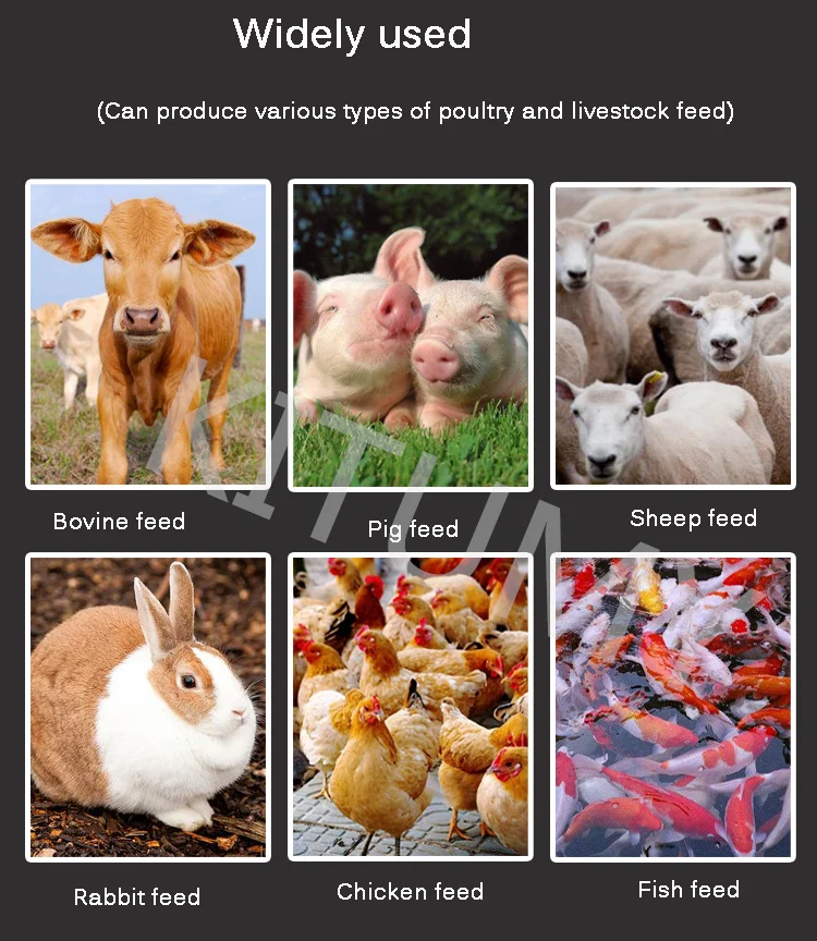 60 кг/ч-80 кг/ч пеллетная мельница многофункциональная машина для производства